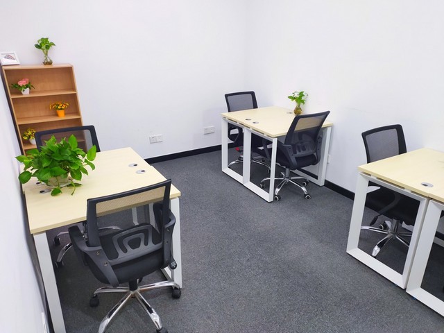 河源花木场货源充足